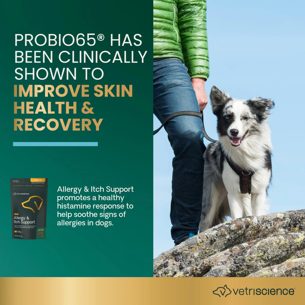 Allergy & Itch Support for Dogs by VetriScience