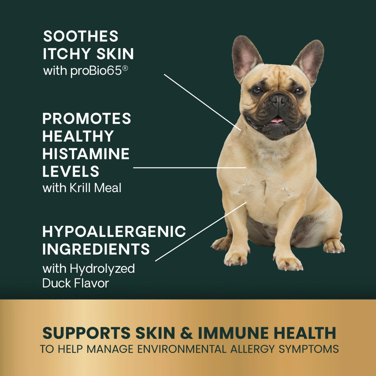 Allergy & Itch Support for Dogs by VetriScience
