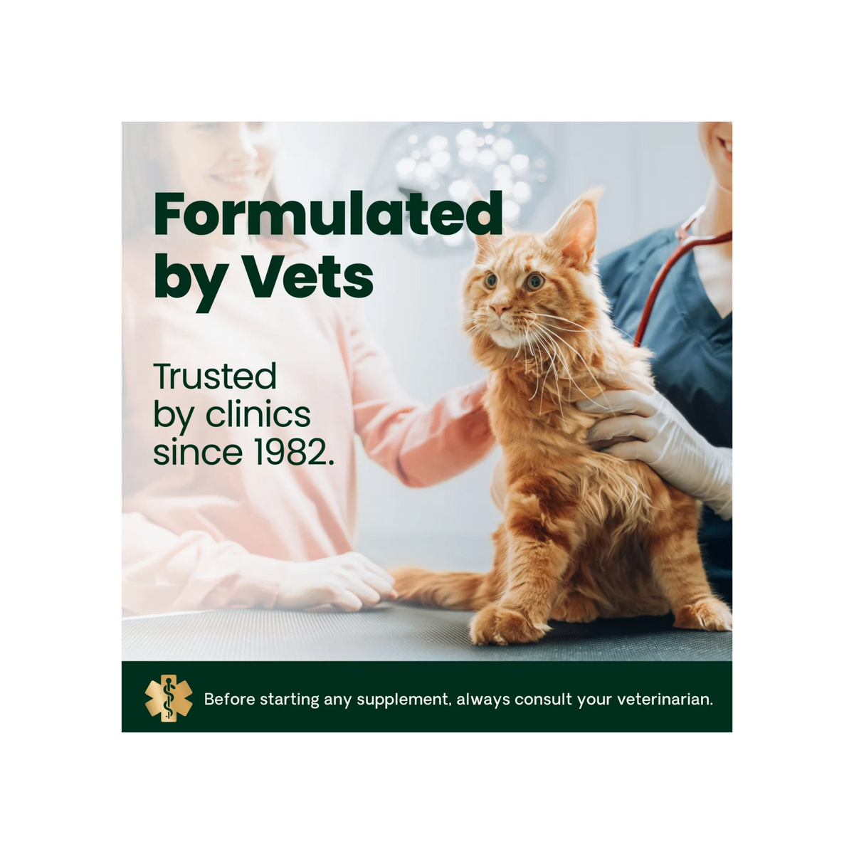 Ultimate Strength Healthy Hip & Joint for Cats by VetriScience