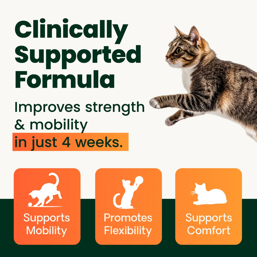 Ultimate Strength Healthy Hip & Joint for Cats by VetriScience