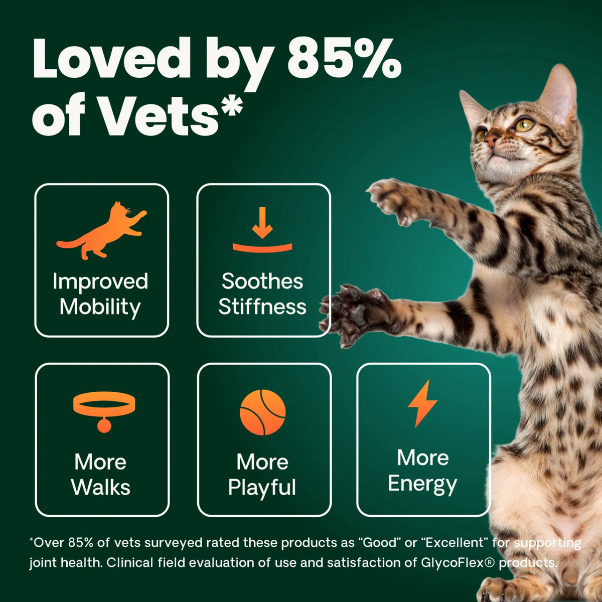 Ultimate Strength Healthy Hip & Joint for Cats by VetriScience