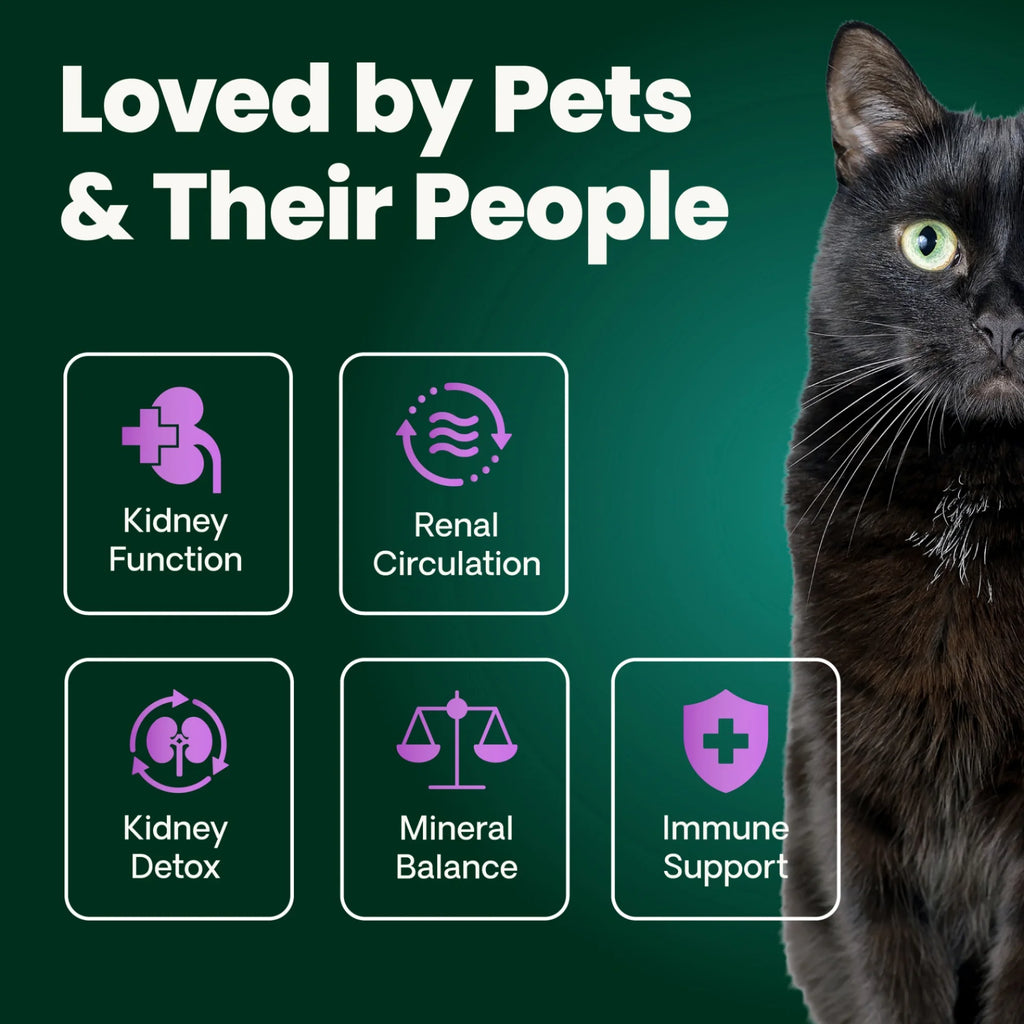 Kidney Health for Cats by VetriScience