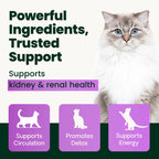Kidney Health for Cats by VetriScience