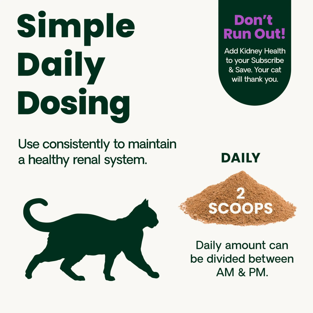 Kidney Health for Cats by VetriScience