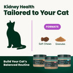 Kidney Health for Cats by VetriScience