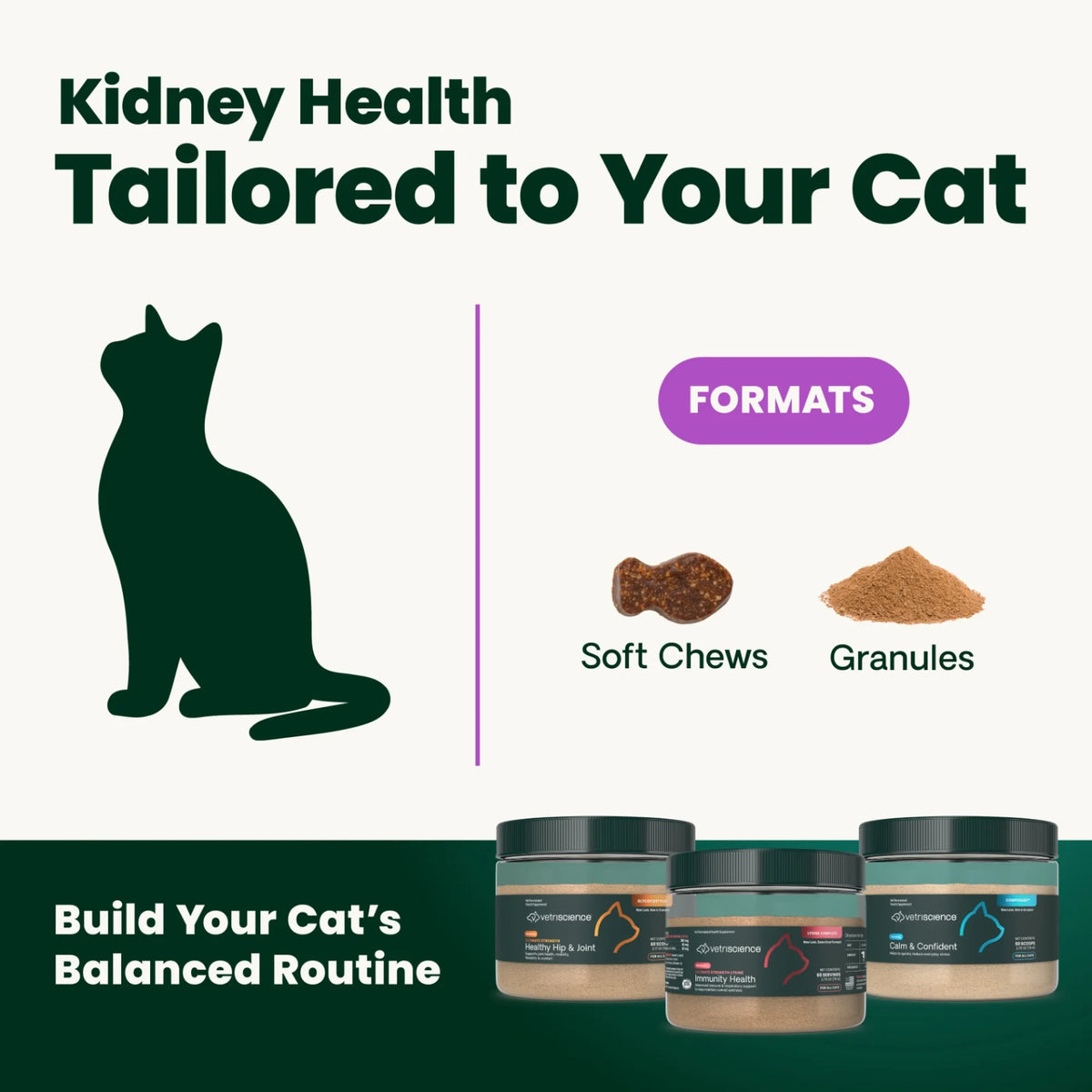 Kidney Health for Cats by VetriScience