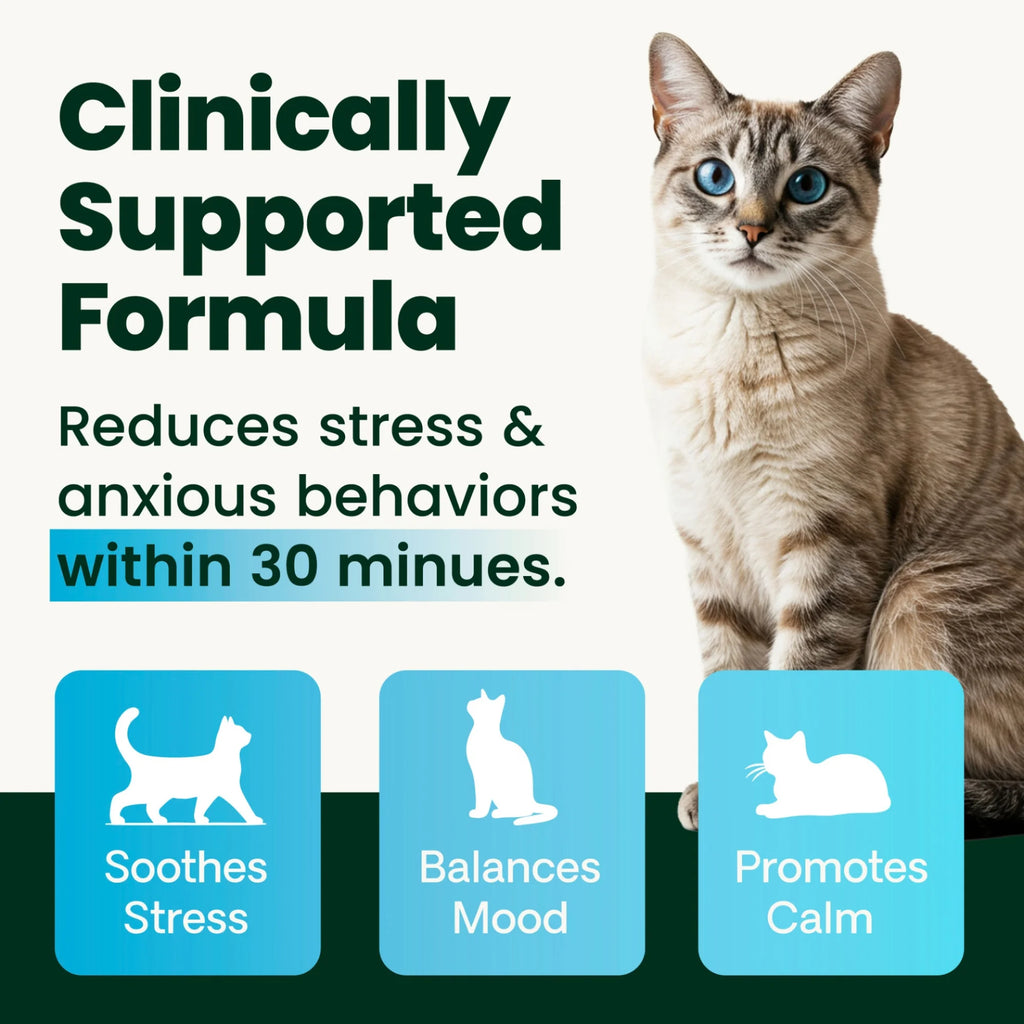 Calm & Confident for Cats by VetriScience