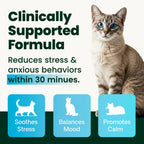 Calm & Confident for Cats by VetriScience