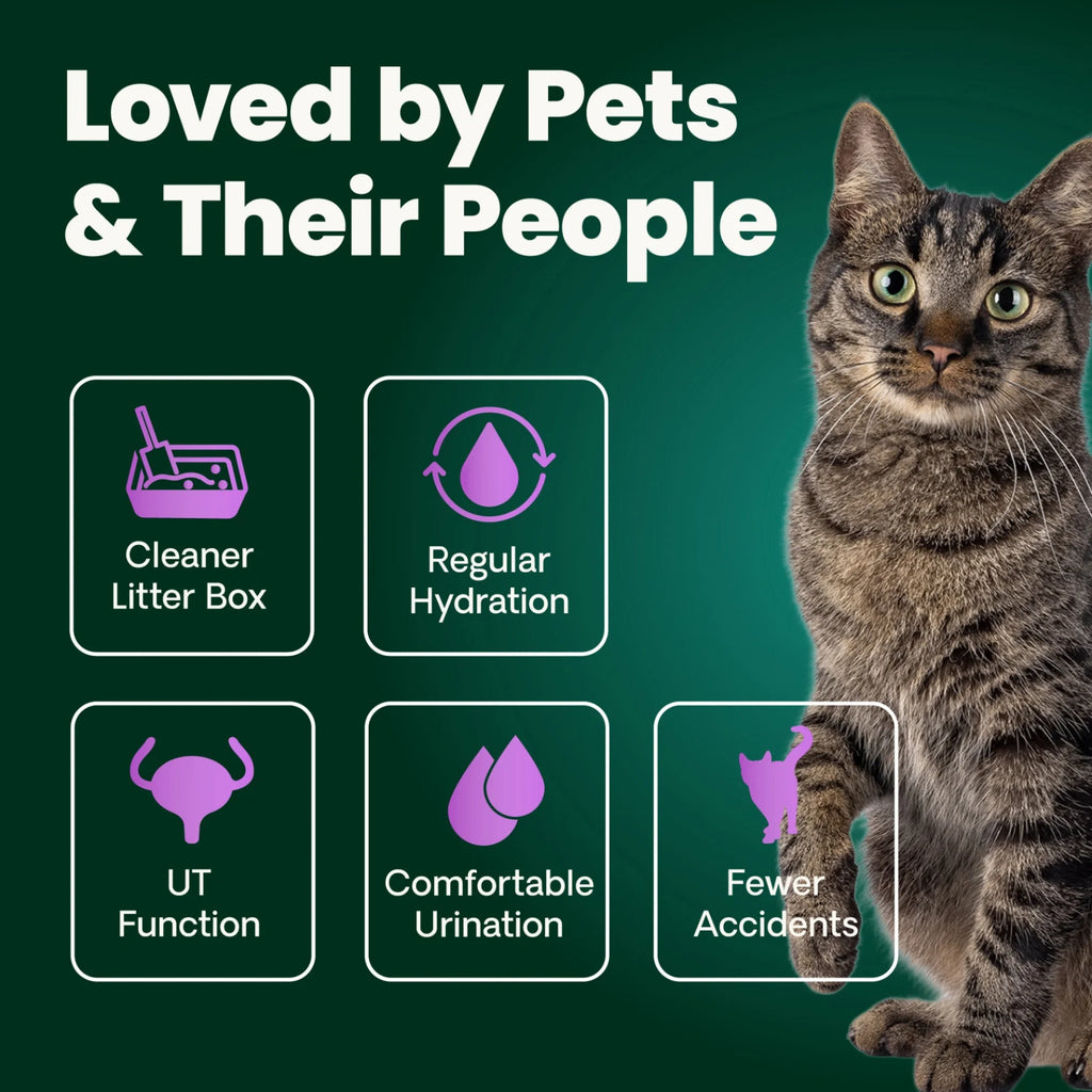 UT Health for Cats by VetriScience