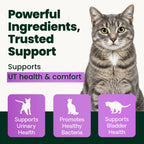 UT Health for Cats by VetriScience