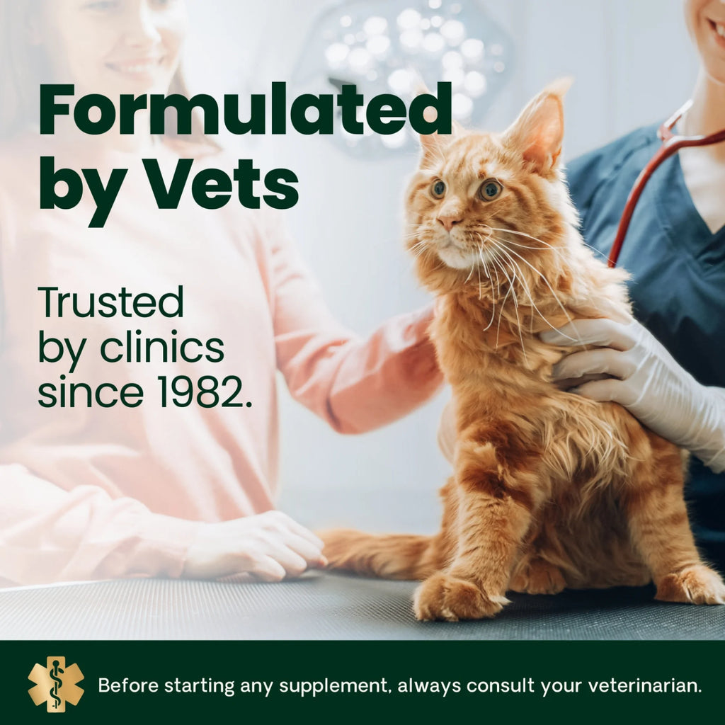 UT Health for Cats by VetriScience