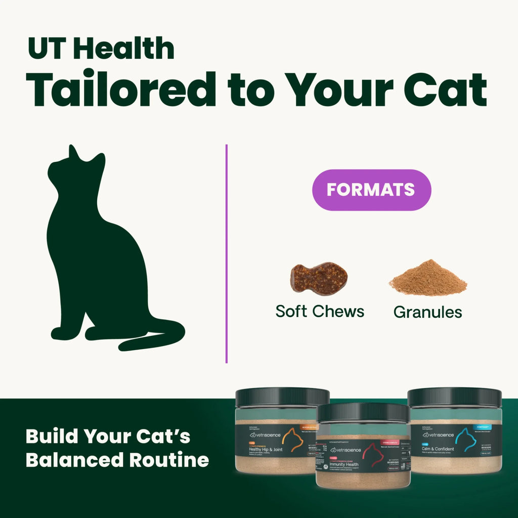 UT Health for Cats by VetriScience