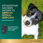 Eye & Vision Health for Dogs by VetriScience