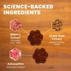 Eye & Vision Health for Dogs by VetriScience