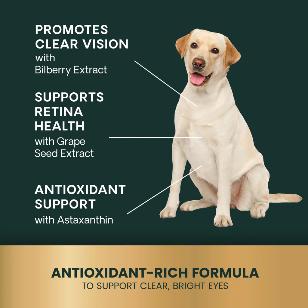Eye & Vision Health for Dogs by VetriScience