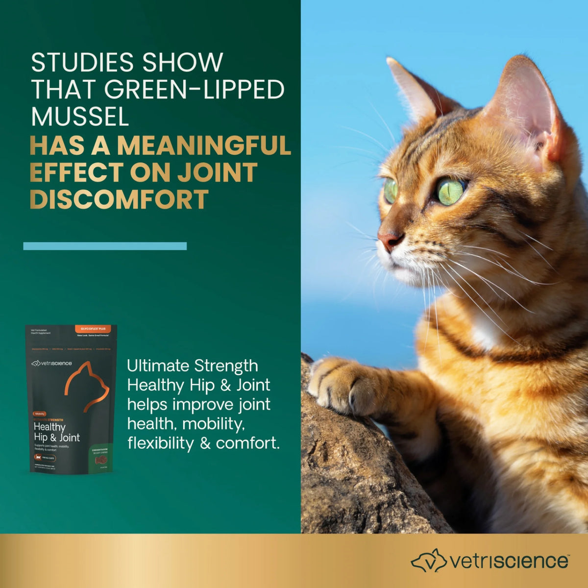 Ultimate Strength Healthy Hip & Joint for Cats by VetriScience