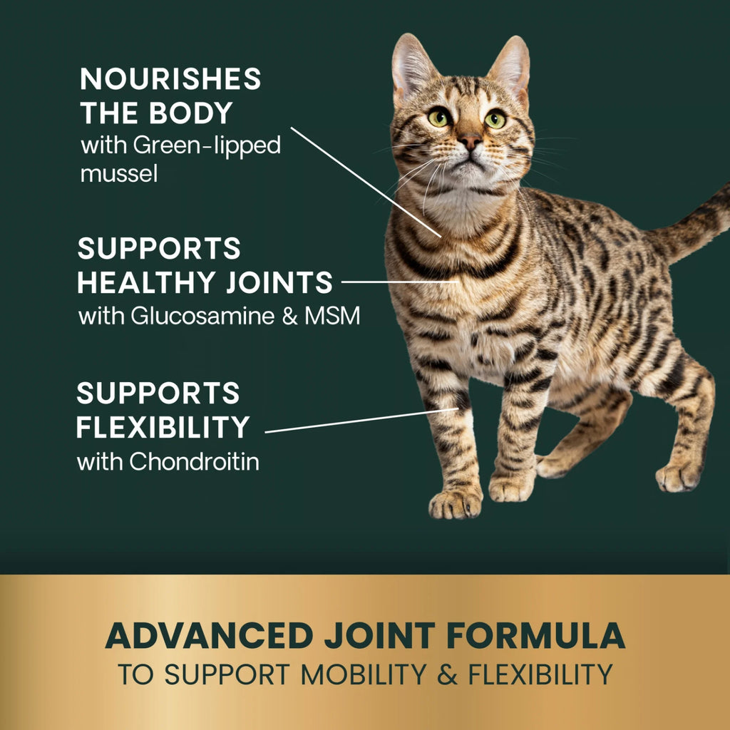 Ultimate Strength Healthy Hip & Joint for Cats by VetriScience