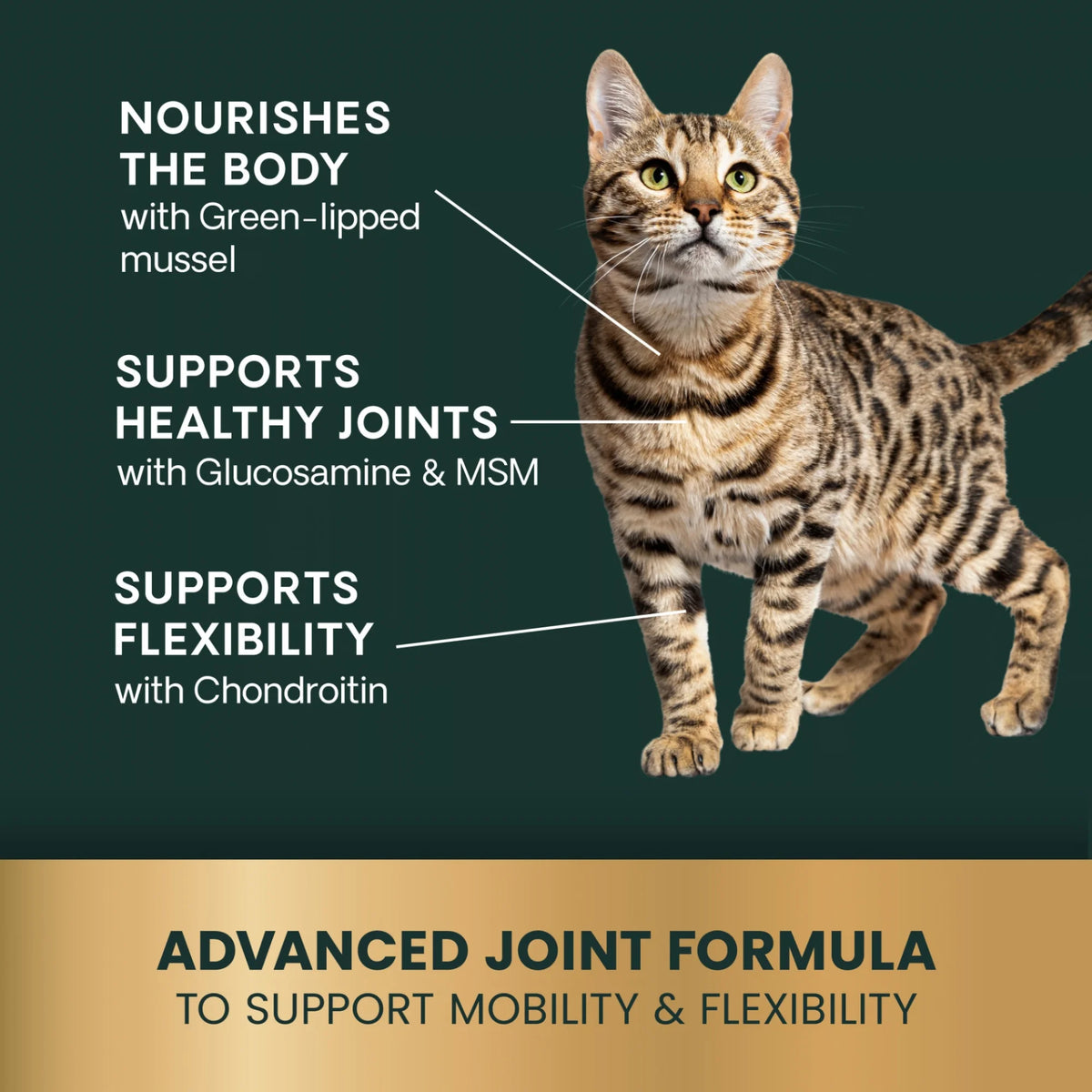 Ultimate Strength Healthy Hip & Joint for Cats by VetriScience