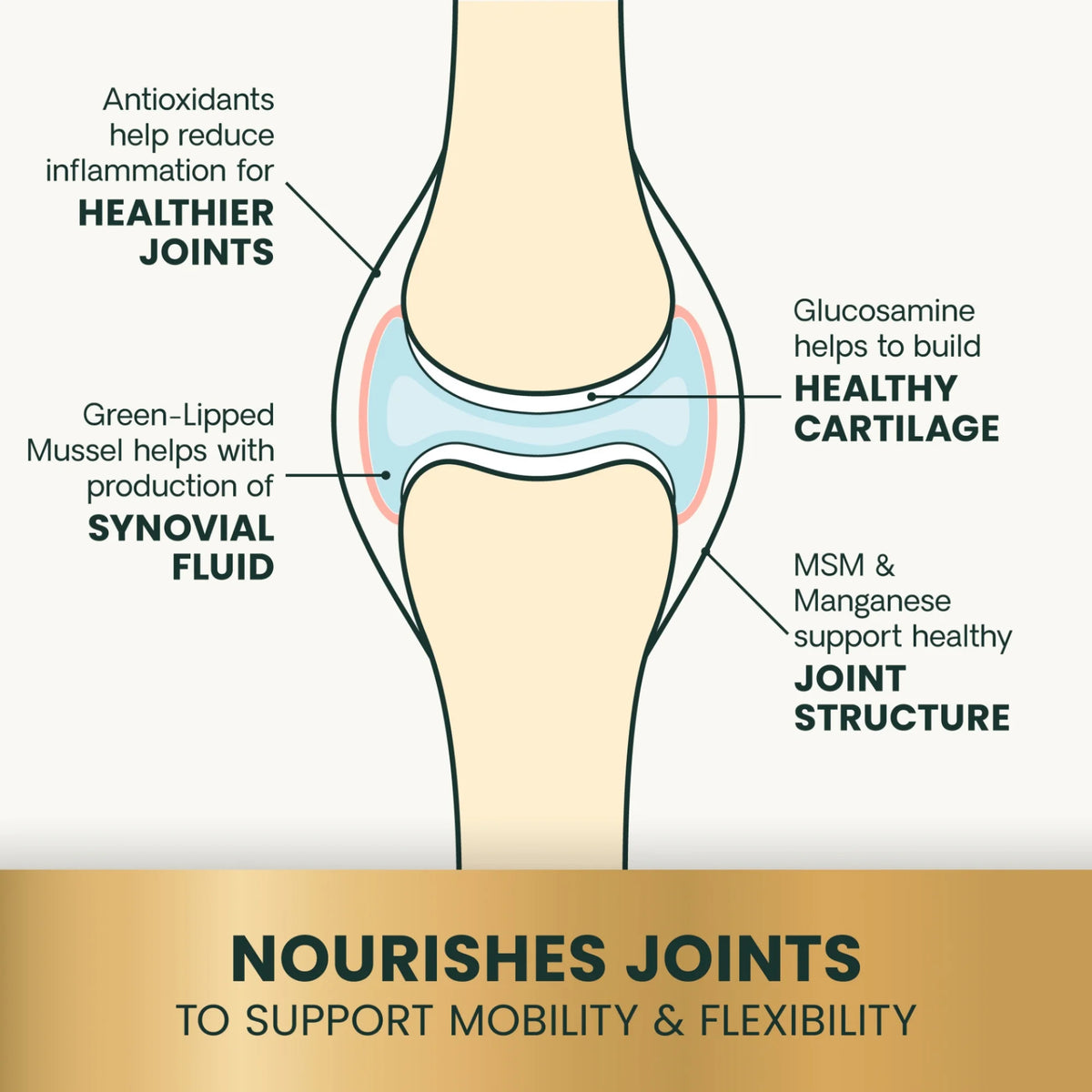 Ultimate Strength Healthy Hip & Joint for Cats by VetriScience