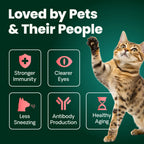Ultimate Strength Lysine Immunity Health for Cats Powder by VetriScience