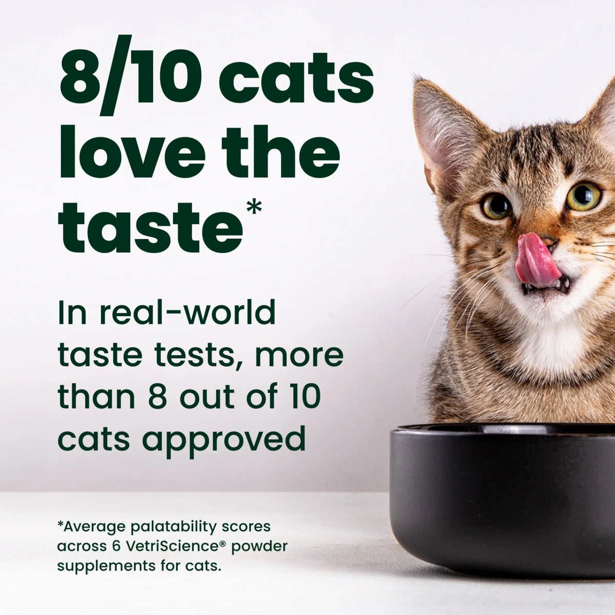 Ultimate Strength Lysine Immunity Health for Cats Powder by VetriScience