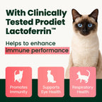 Ultimate Strength Lysine Immunity Health for Cats Powder by VetriScience