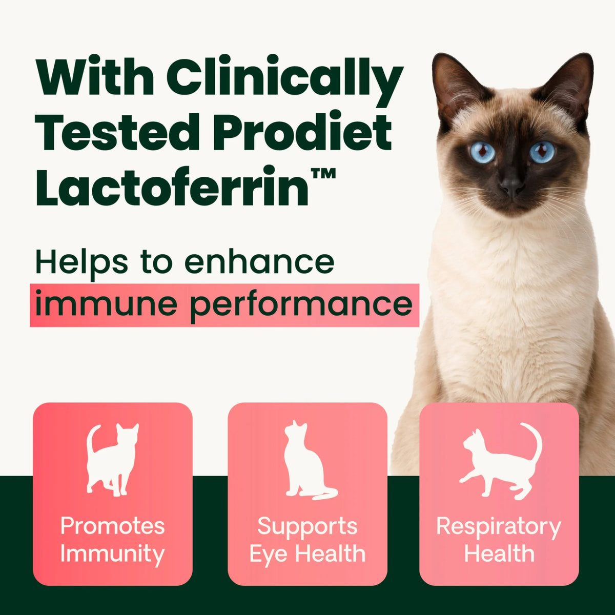 Ultimate Strength Lysine Immunity Health for Cats Powder by VetriScience