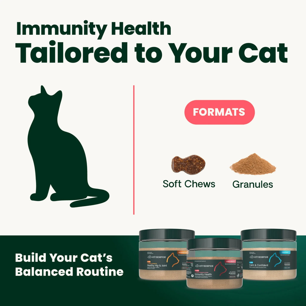 Ultimate Strength Lysine Immunity Health for Cats Powder by VetriScience