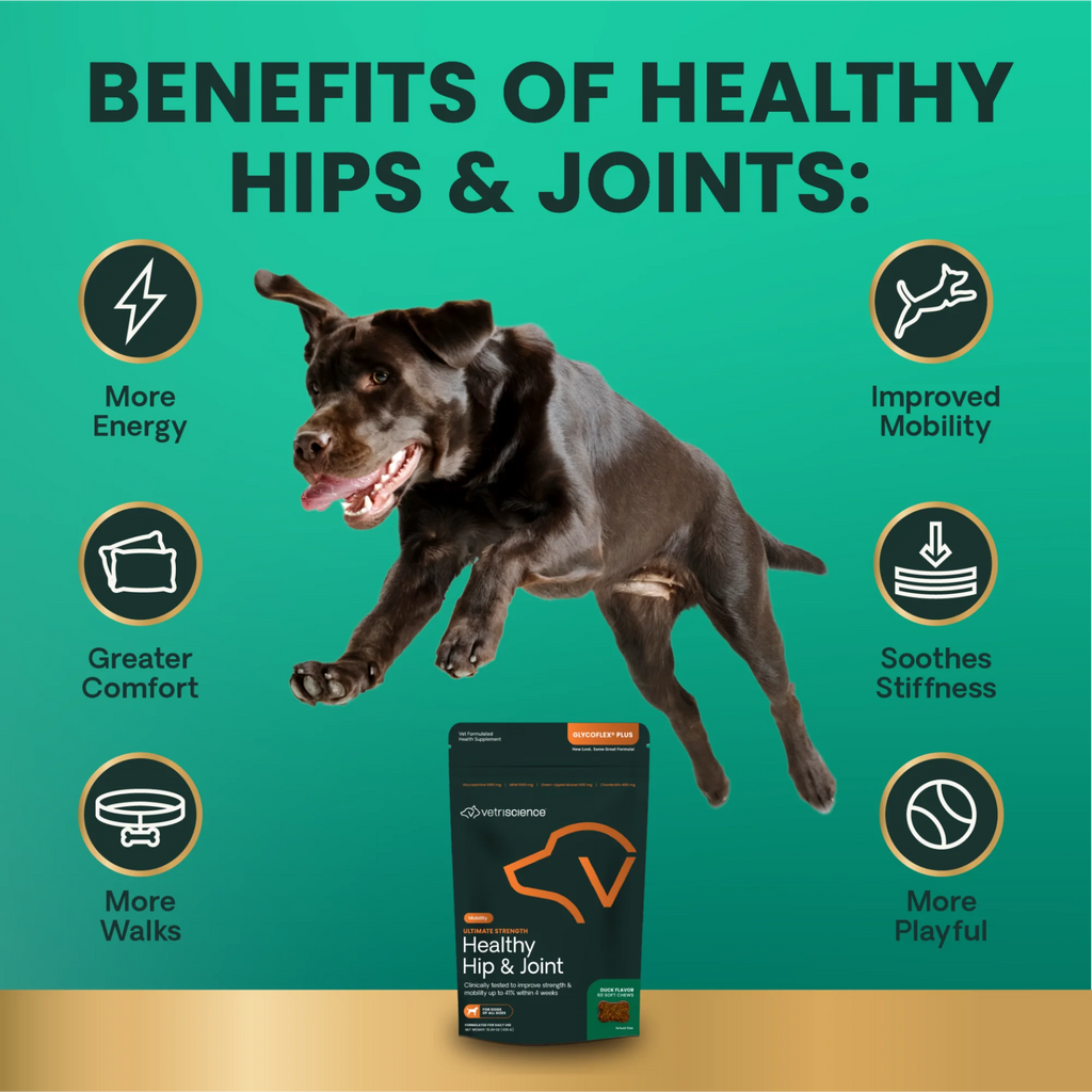Ultimate Strength Healthy Hip & Joint for Dogs by VetriScience
