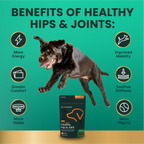 Ultimate Strength Healthy Hip & Joint for Dogs by VetriScience