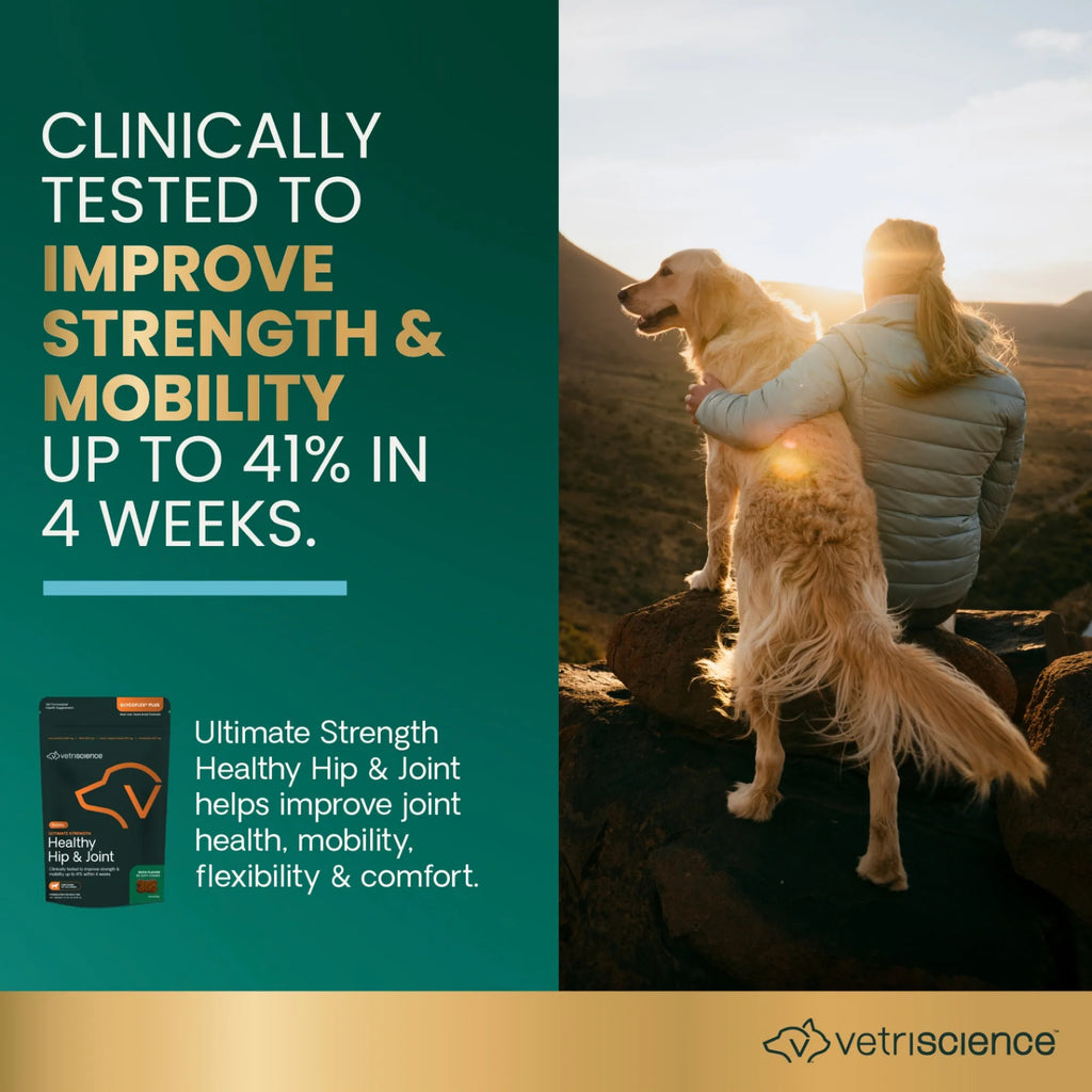 Ultimate Strength Healthy Hip & Joint for Dogs by VetriScience