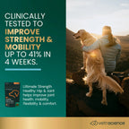 Ultimate Strength Healthy Hip & Joint for Dogs by VetriScience