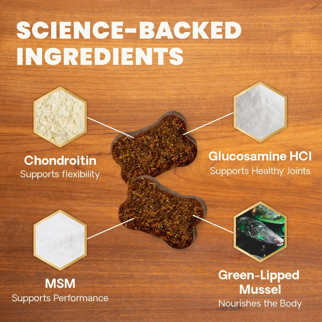 Ultimate Strength Healthy Hip & Joint for Dogs by VetriScience