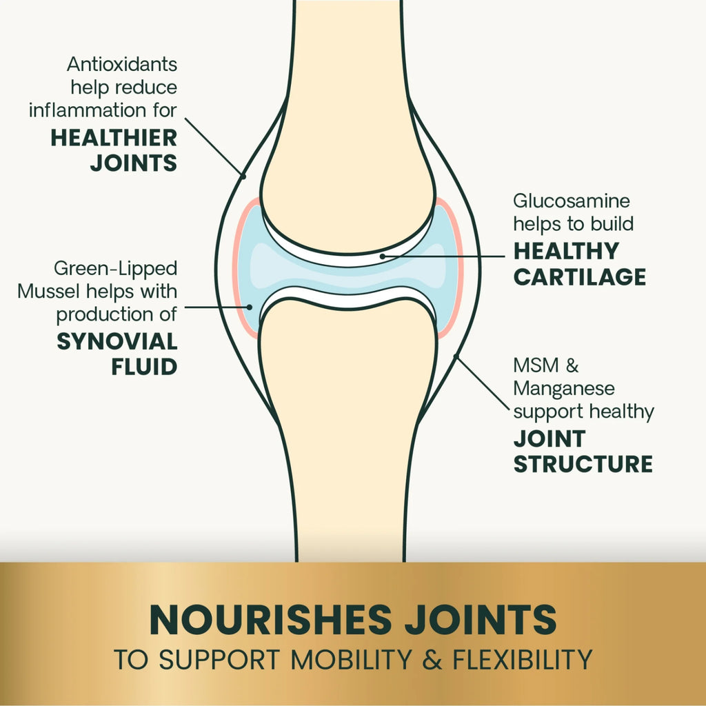 Ultimate Strength Healthy Hip & Joint for Dogs by VetriScience