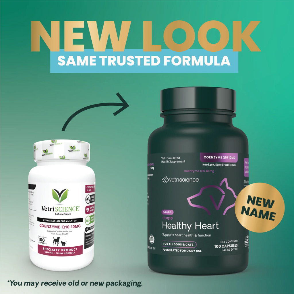CoQ10 Healthy Heart for Dogs & Cats by VetriScience