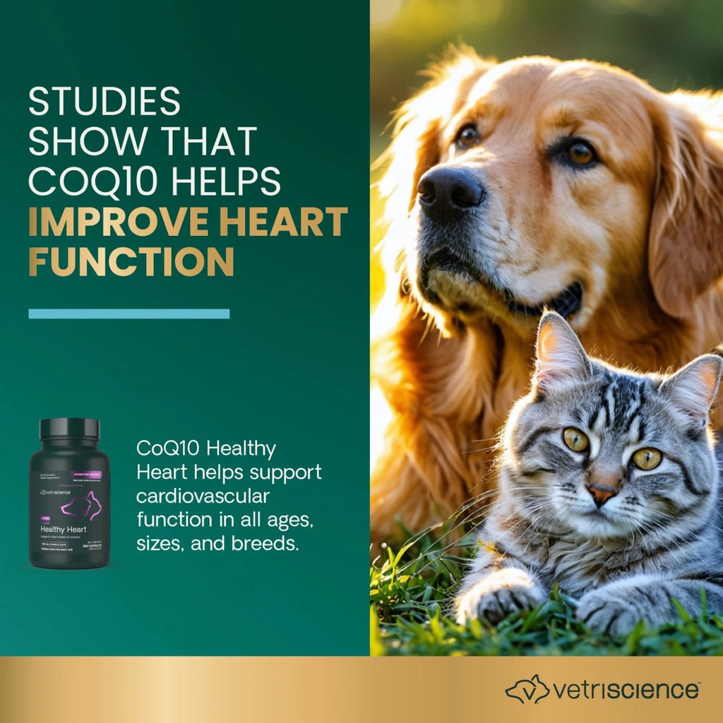 CoQ10 Healthy Heart for Dogs & Cats by VetriScience