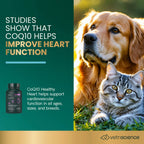 CoQ10 Healthy Heart for Dogs & Cats by VetriScience