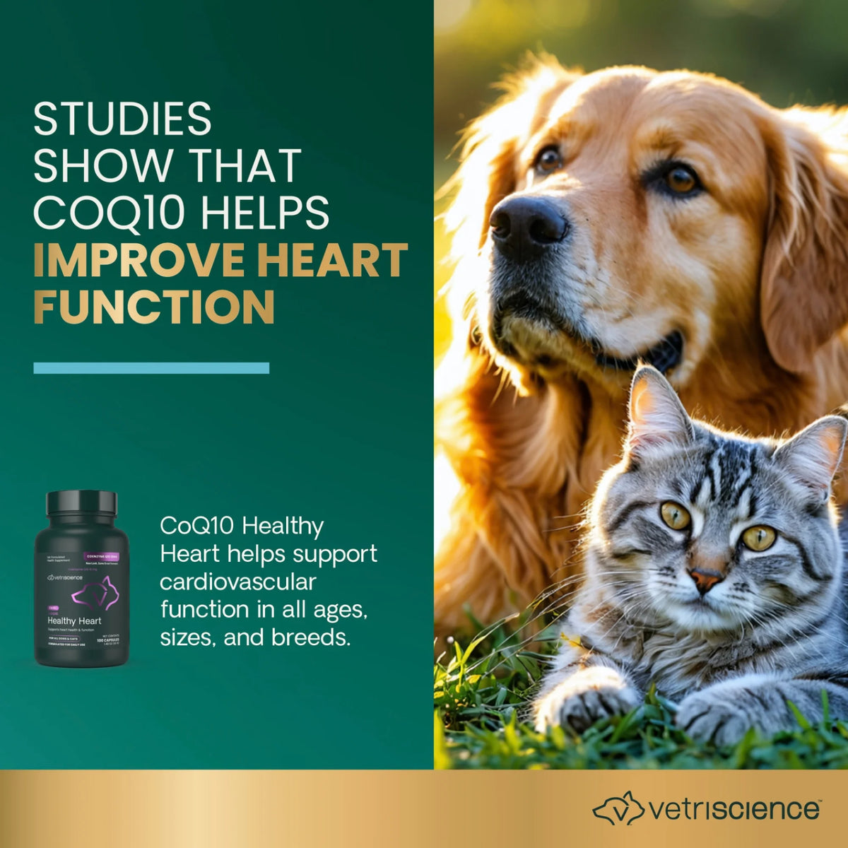 CoQ10 Healthy Heart for Dogs & Cats by VetriScience