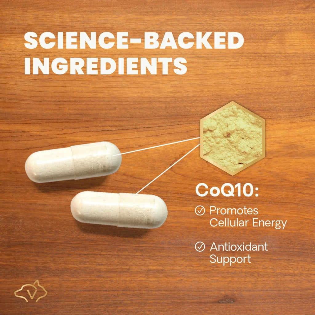 CoQ10 Healthy Heart for Dogs & Cats by VetriScience