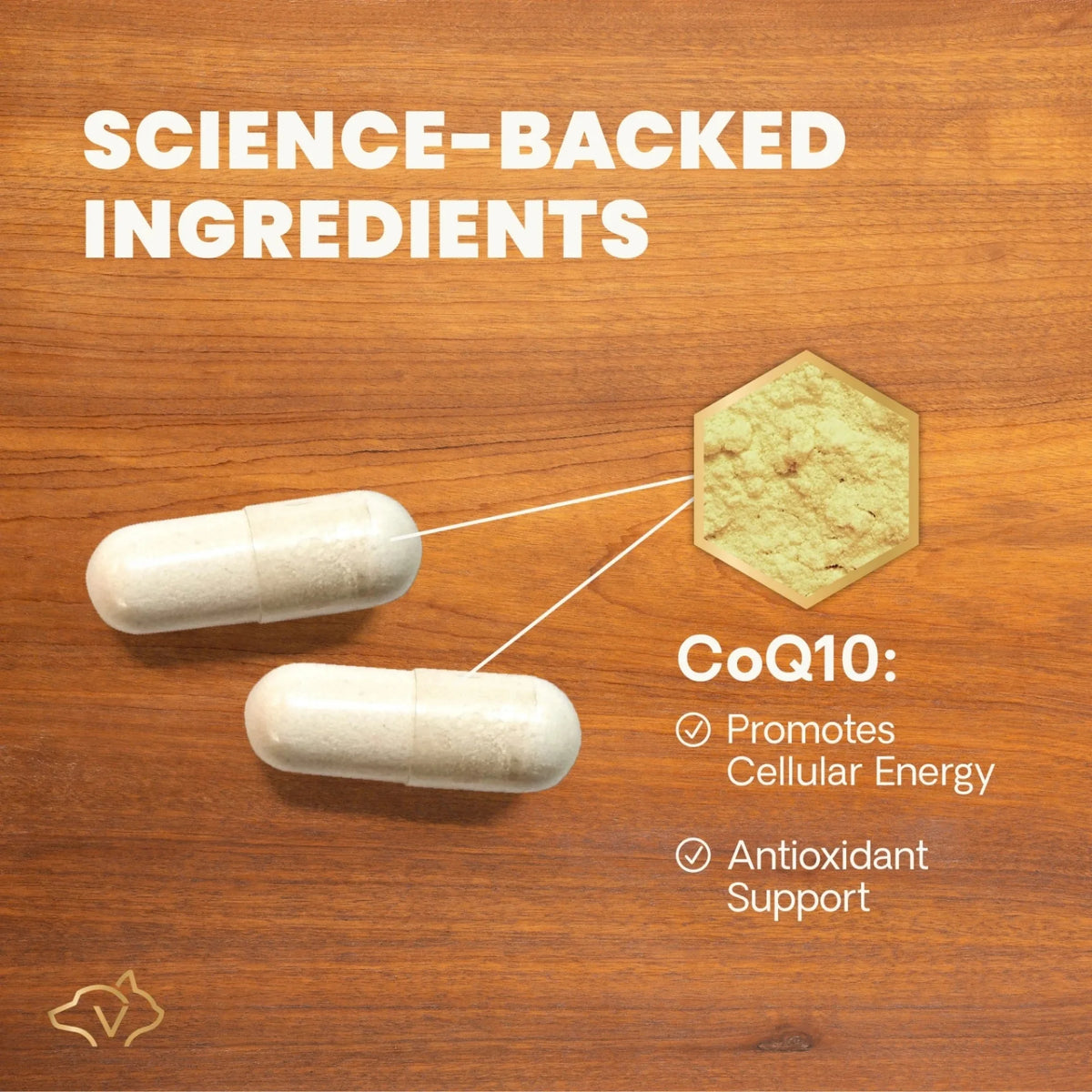 CoQ10 Healthy Heart for Dogs & Cats by VetriScience