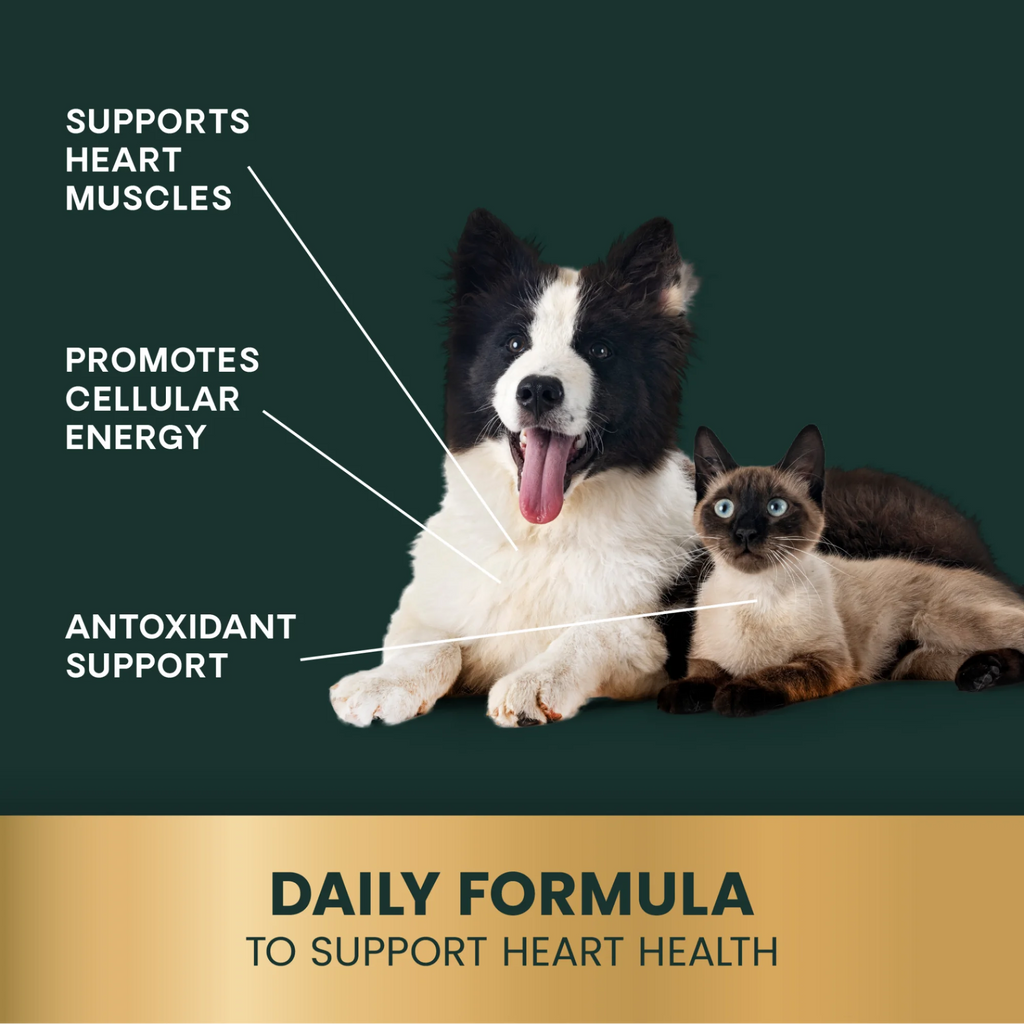 CoQ10 Healthy Heart for Dogs & Cats by VetriScience