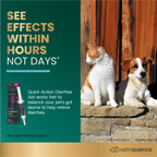 Quick Action Diarrhea Aid Paste for Dogs & Cats by VetriScience