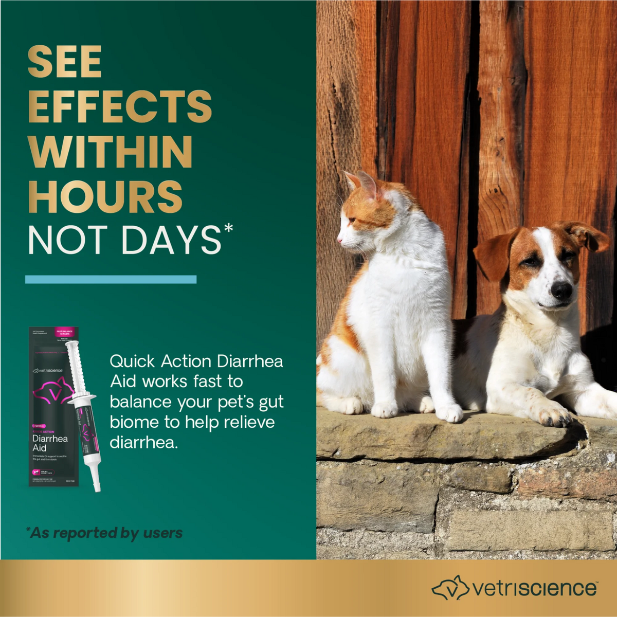 Quick Action Diarrhea Aid Paste for Dogs & Cats by VetriScience
