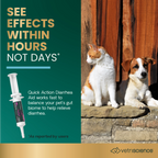 Quick Action Diarrhea Aid Paste for Dogs & Cats by VetriScience