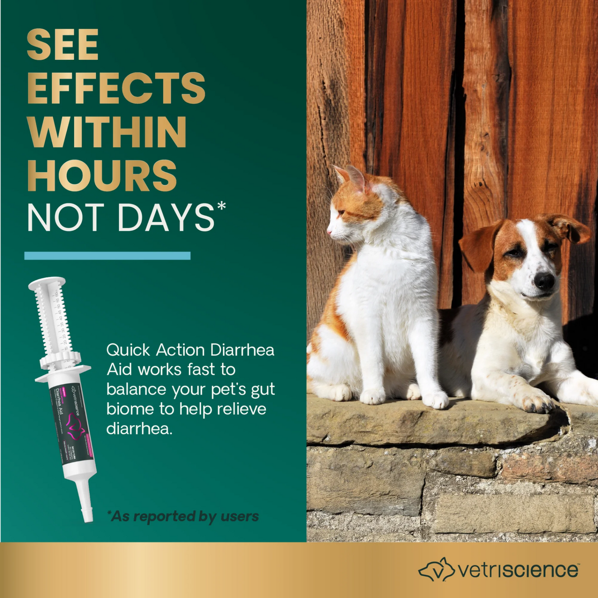 Quick Action Diarrhea Aid Paste for Dogs & Cats by VetriScience