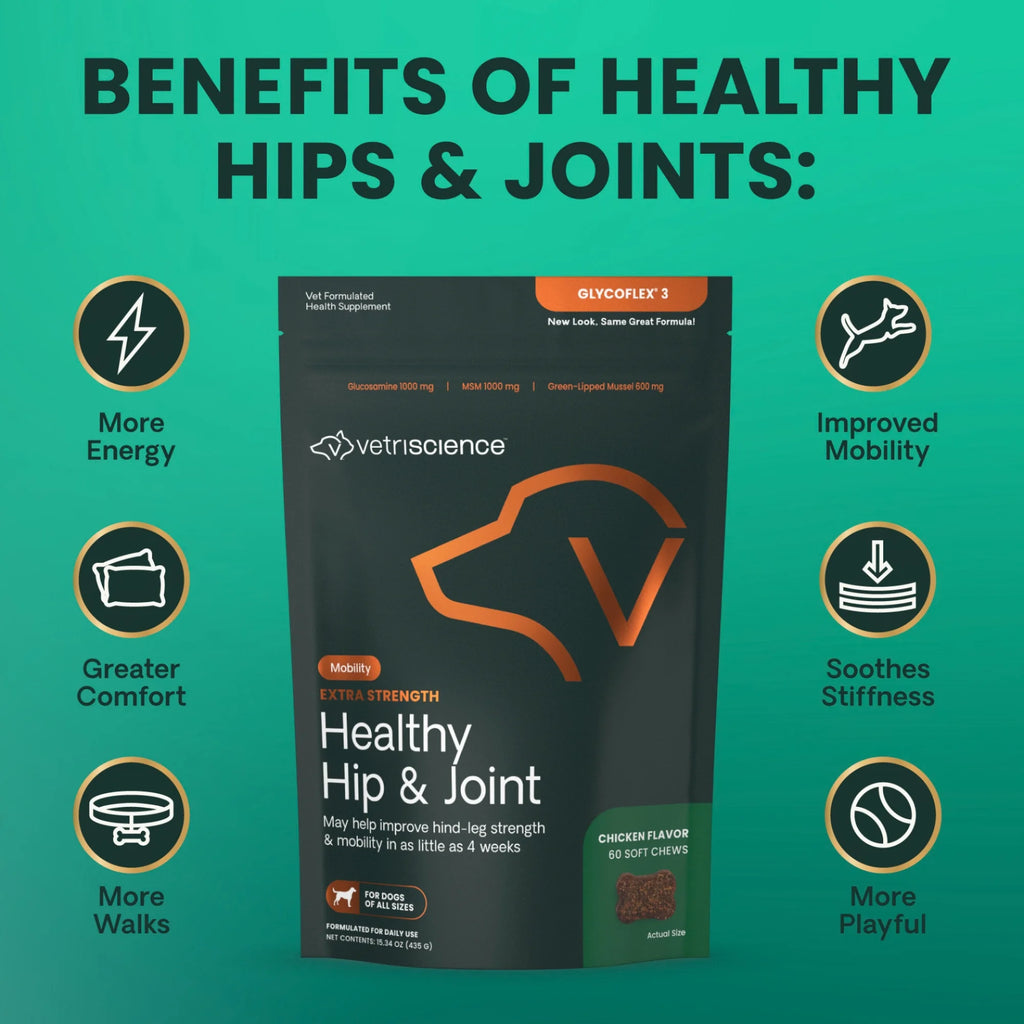 Extra Strength Healthy Hip & Joint for Dogs by VetriScience