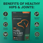Extra Strength Healthy Hip & Joint for Dogs by VetriScience