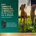Extra Strength Healthy Hip & Joint for Dogs by VetriScience