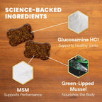 Extra Strength Healthy Hip & Joint for Dogs by VetriScience