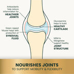Extra Strength Healthy Hip & Joint for Dogs by VetriScience